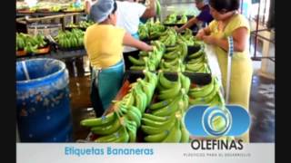 Etiquetas para Frutas Banano [upl. by Kciredor]