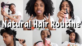 Natural Hair 👩🏾‍🦱  FULL routine detangle wash blow dry twist 💆🏾‍♀️ [upl. by Adiazteb]