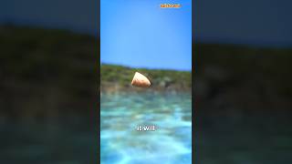 Shoot A Bullet Underwater 🤔shorts part 122 [upl. by Eyot136]