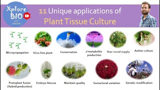 11 Unique applications of plant tissue culture [upl. by Caresa]