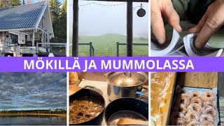 SYYSLOMA ALKOI 🍂 MÖKILLÄ JA MUMMOLASSA ❤️ [upl. by Enaywd]