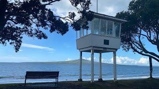 Narrowneck Beach Auckland🇳🇿LIVE Walking in New Zealand [upl. by Leiba]