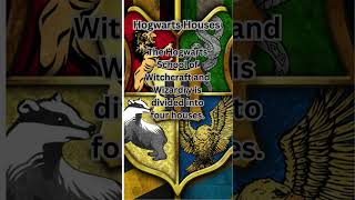 Hogwarts Houses Explained Which One Do You Belong To shorts [upl. by Norej]