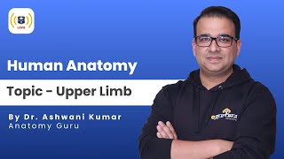 Upper Limb  2  Human Anatomy  Dr Ashwani Kumar [upl. by Giesecke]