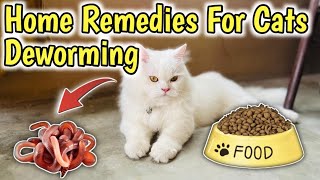 How to Deworm a cat with Home Remedies  Home Remedies for Deworming Cats  Cat Worms Treatment [upl. by Vano392]