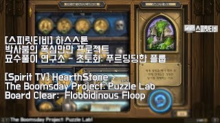 하스스톤 박사붐의 폭심만만 프로젝트 묘수풀이 연구소 초토화 푸르딩딩한 플룹  Puzzle Lab [upl. by Wagner]