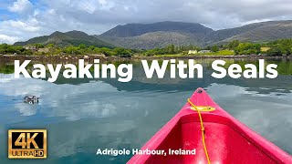 Kayaking With Seals in Adrigole Ireland 4K [upl. by Link]