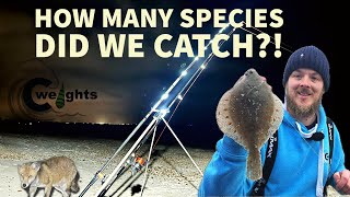 Sea Fishing UK April  Portsmouth Species Hunt  Various Venues  Underwater Camera Footage [upl. by Nadual]