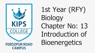 Introduction of Bioenergetics  1st Year Biology [upl. by Nirot518]