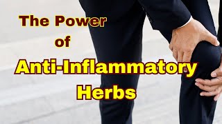 The LifeChanging Power of AntiInflammatory Herbs [upl. by Rraval]