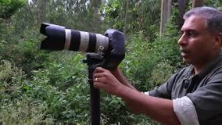 Photography Shooting Technique  Using a Monopod [upl. by Ozzie397]