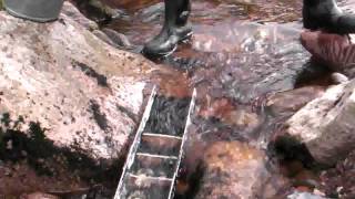 Gold prospecting in Aberdeenshire [upl. by Connett]