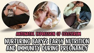 Antenatal Expression of Colostrum Nurturing Babys Early Nutrition and Immunity during Pregnancy [upl. by Ellerahc495]