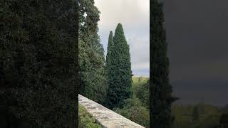 A stroll in Alhambra granada spain alhambra garden moorish andalucia spaintourism guitar [upl. by Marella399]