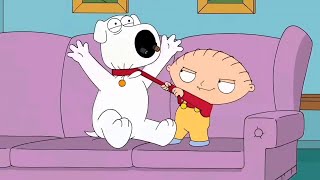 Family Guy Stewie Griffin Funniest Moments [upl. by Gianina849]