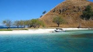 Sensation Angel Island Indonesien 4 Teil Unterwasserwelt von Kelor Island mit Twixtor Zeitlupe [upl. by Yaj]