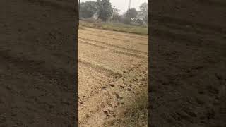 Soil science layout Practical soil texture song hindisong music  motivation [upl. by Atiek203]