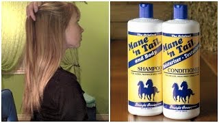 Mane n Tail Shampoo amp Conditioner Review  Before and After Growth Results [upl. by Noiramed475]