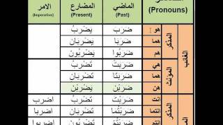 Arabic Verbs  0009 daraba  to hit  ضرب Active Voice Past Present and Imperative [upl. by Zorana]