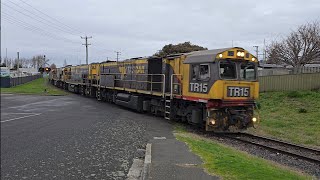 TasRail TR15 TR16 TR01 36 train crossing Water Street Ulverstone [upl. by Einnaffit]