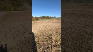 2024 Soybeans Harvest video coming soon [upl. by Amis]