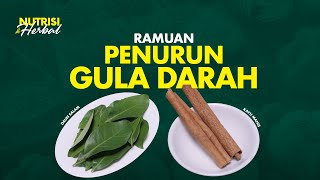 Gula Darah Tinggi Racik Ramuan Herbal Menurunkan Gula Darah  Nutrisi amp Herbal 21 [upl. by Ahtimat]