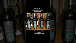 Marche Rosso Igt Petronio Alberto Quacquarini winery [upl. by Castra]