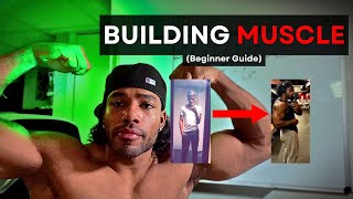 Beginner Guide To Building MUSCLE Step By Step [upl. by Syl430]