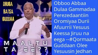 Obbo Abbaa Duulaa Gammadaa Rabbi Na Gargaaree  Qormaata Guddaan Olee JedhanDibabe News [upl. by Edda]