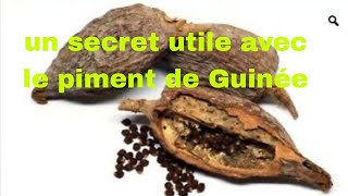 un secret utile avec le piment de Guinée [upl. by Farnsworth]