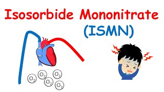 Isosorbide Mononitrate  Mechanism precautions side effects amp uses [upl. by Hamlani]