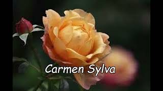 CARMEN SYLVA Sov themaukul [upl. by Lutim]