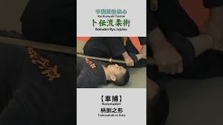 Bokuden Ryu Jujutsu【Kurumadori】Tsukasabaki no Kata 卜伝流柔術【車捕】柄捌之形 shorts [upl. by Ahtrim]