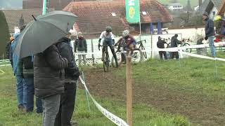 2019 Flückiger Cross Frauen Madiswil [upl. by Winshell159]