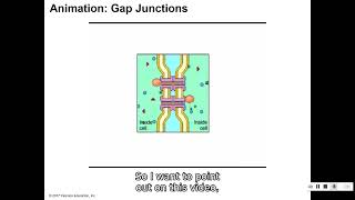 63 Cell Junctions [upl. by Ennirroc]