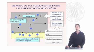 Separación e identificación de los ácidos tartárico málico y láctico en muestras de vinos   UPV [upl. by Gausman]