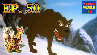 SIMBA REI LEÃO desenhos animados  série animada para crianças  Simba em Português  episódio 50 [upl. by Akinod]