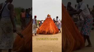 Zangbeto dance of africazangbeto dance africa culture viralvideoシ viralreelsシ [upl. by Lleda]