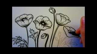 Flower Tutorial  How To Draw Flowers  Poppy Flowers [upl. by Ricca29]