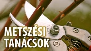 Tavaszi kerti munkák  a metszés tavasszal kertészeti tanácsok [upl. by Inez]