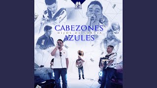 Cabezones Azules [upl. by Nauqahs438]