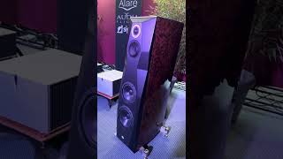 Alare Remiga 2 Be 80000 Audia Flight Strumento No 8 mono amplfiiers 30000 loudspeaker hifi [upl. by Ssalguod]