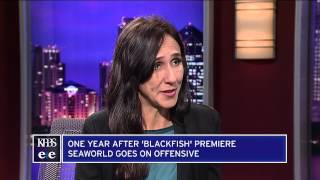 One Year After Blackfish SeaWorld Goes On Offensive [upl. by Adnofal]