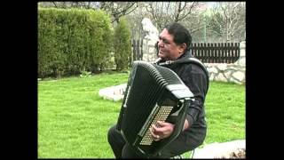 Slobodan Bozinovic Kralj vlaske muzike [upl. by Ettedranreb]