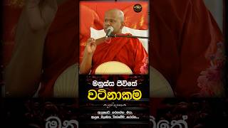 මනුස්ස ජිවිතේ වටිනාකම😯🍃 Venerable Welimada Saddaseela Thero [upl. by Manson430]