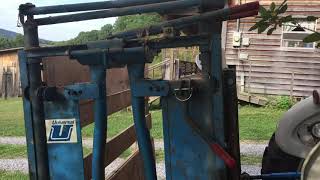 Cattle chute and head gate [upl. by Aicatsana]