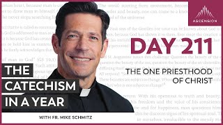 Day 211 The One Priesthood of Christ — The Catechism in a Year with Fr Mike Schmitz [upl. by Eichman423]