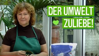 Umweltfreundliche Alternativen zu Streusalz  Der Grüne Tipp [upl. by Ahsekar]