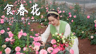 春吃花，是一件浪漫而美味的事情！ Eating spring flowersquot is a romantic and delicious activity【滇西小哥】 [upl. by Anirhtak]