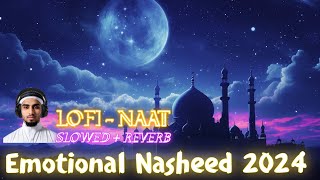 Emotional Nasheed 2024  Bara Lutf Aya Dil Lagi Ka  Little world of Islam  New Naat Sharif [upl. by Ahseirej]